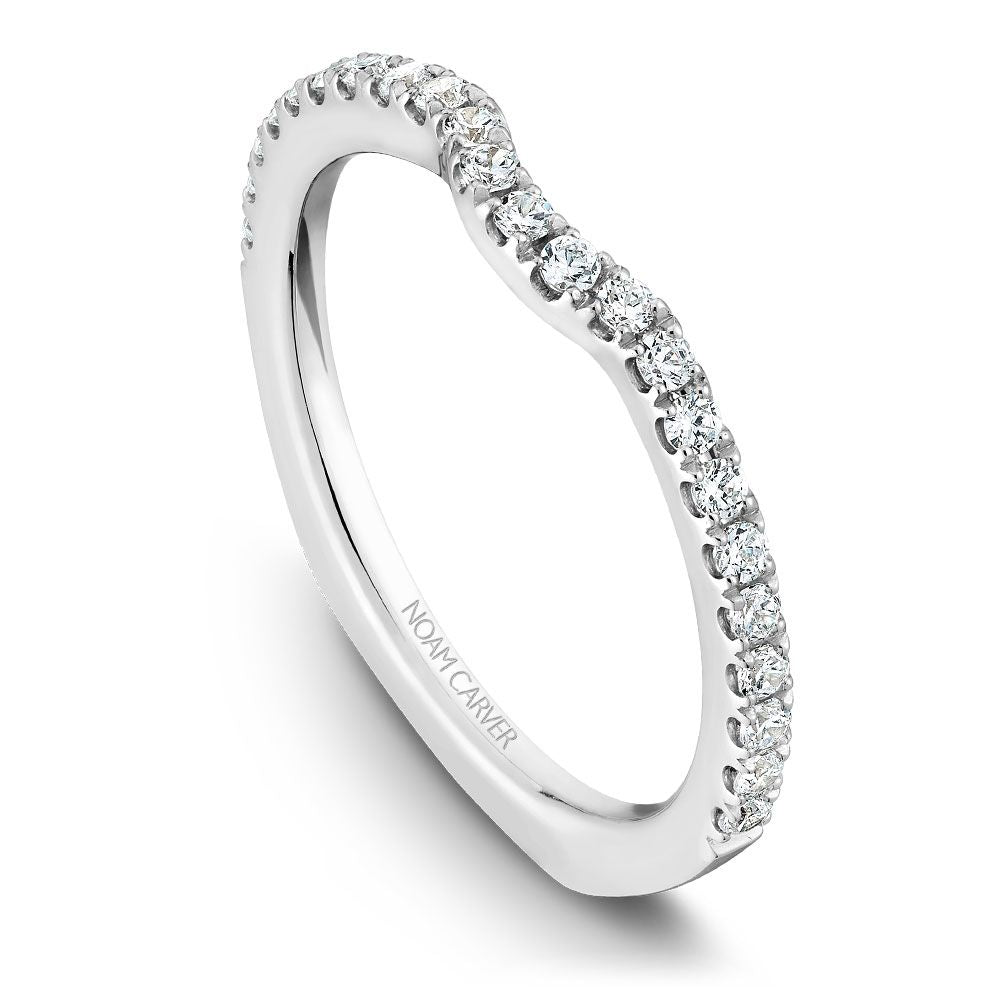 Noam Carver Matching Band - B001-01WZ-100B