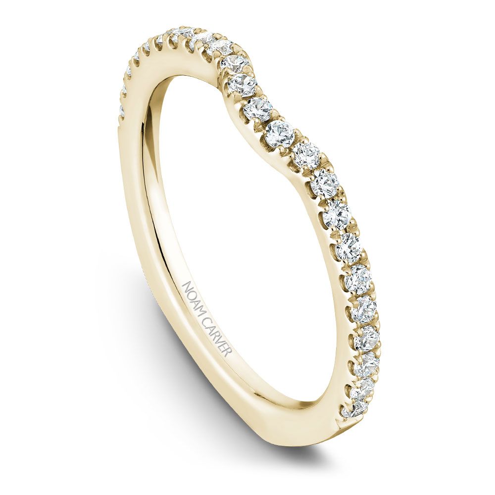 Noam Carver Matching Band - B001-01YM-100B