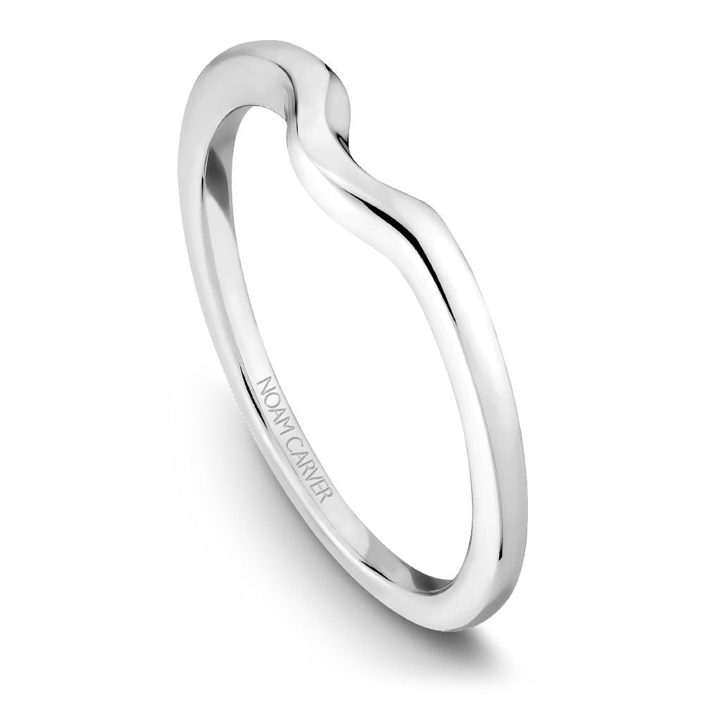 Noam Carver Matching Band - B004-04WZ-100B