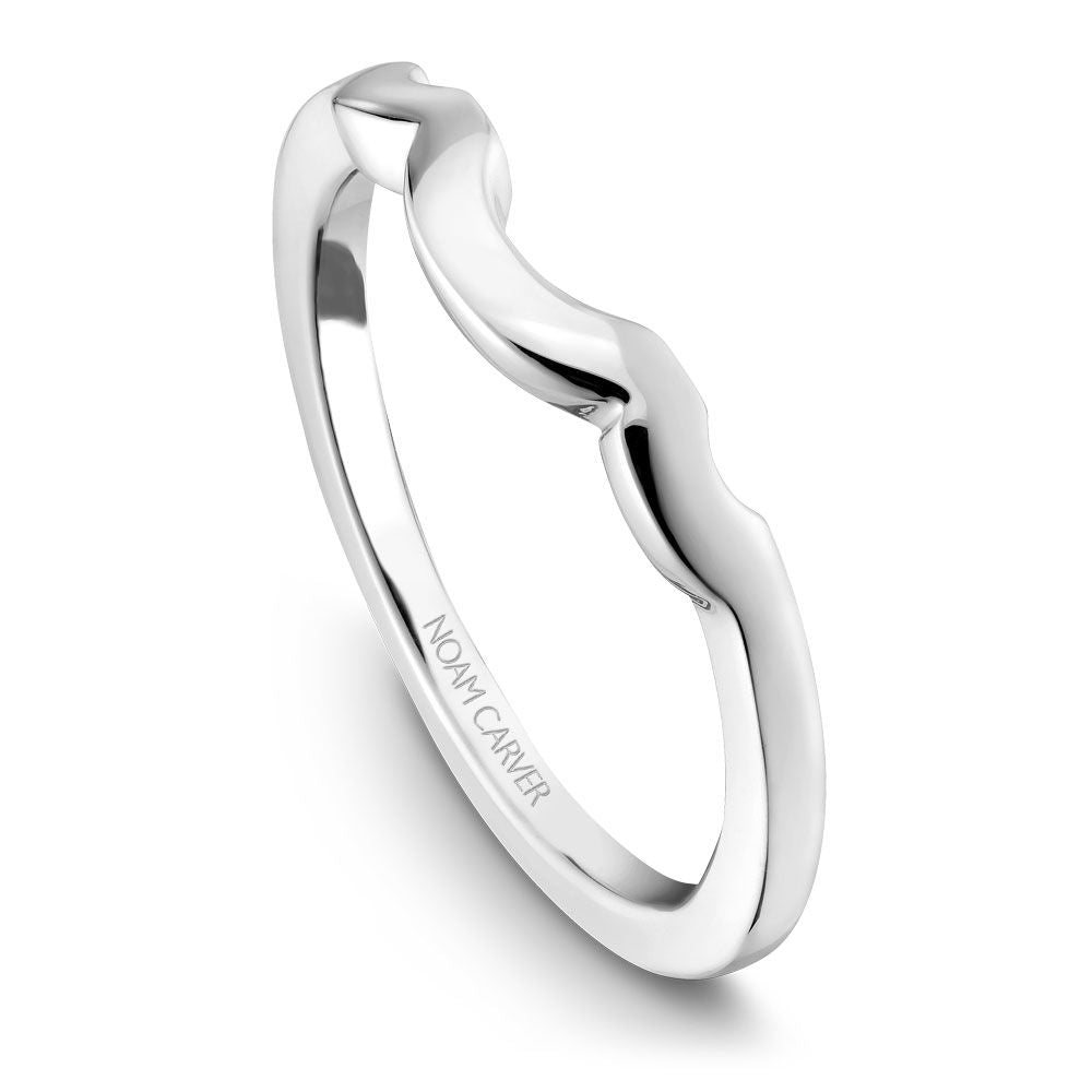 Noam Carver Matching Band - B014-01WZ-100B