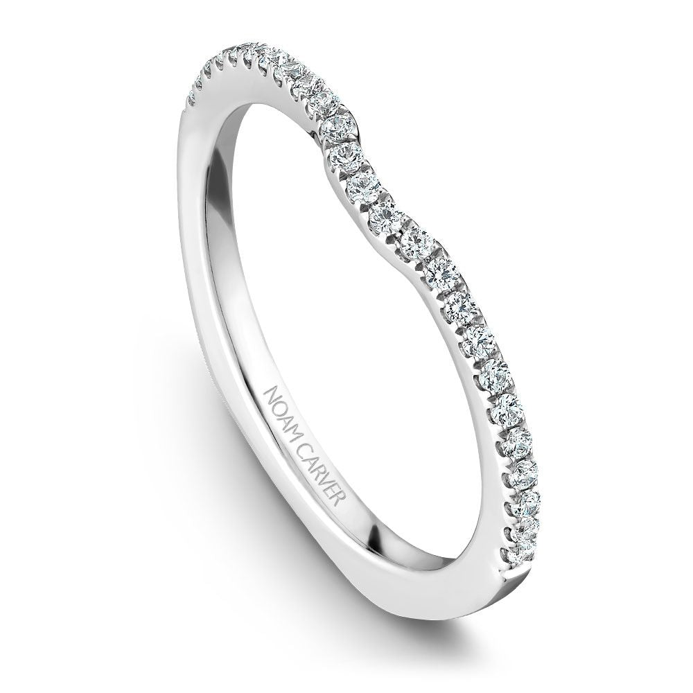 Noam Carver Matching Band - B015-02WZ-100B