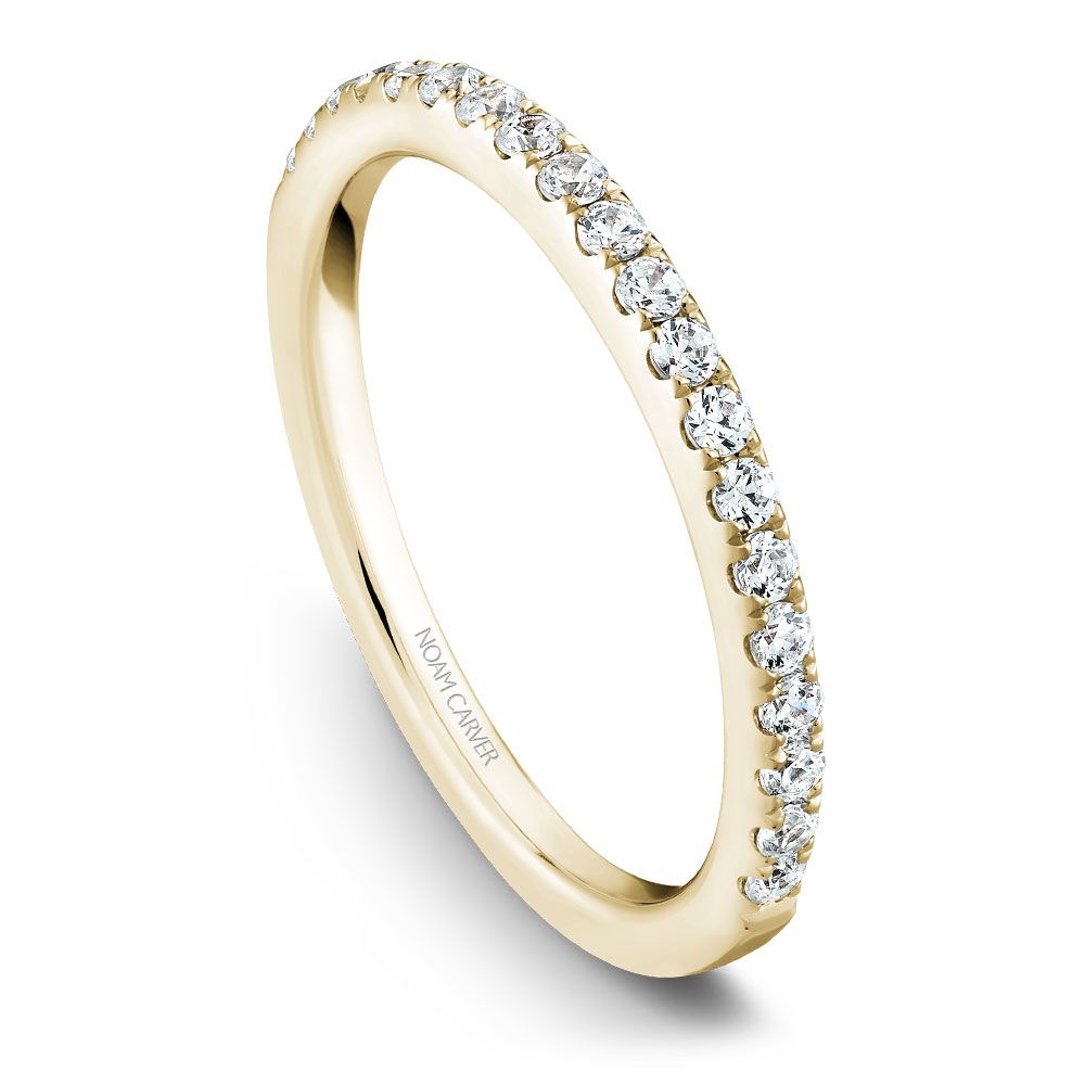 Noam Carver Matching Band - B027-02YM-100B