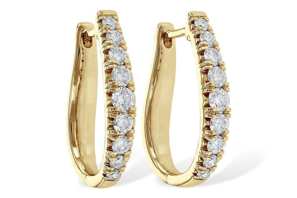 earrings - e217-76246_y