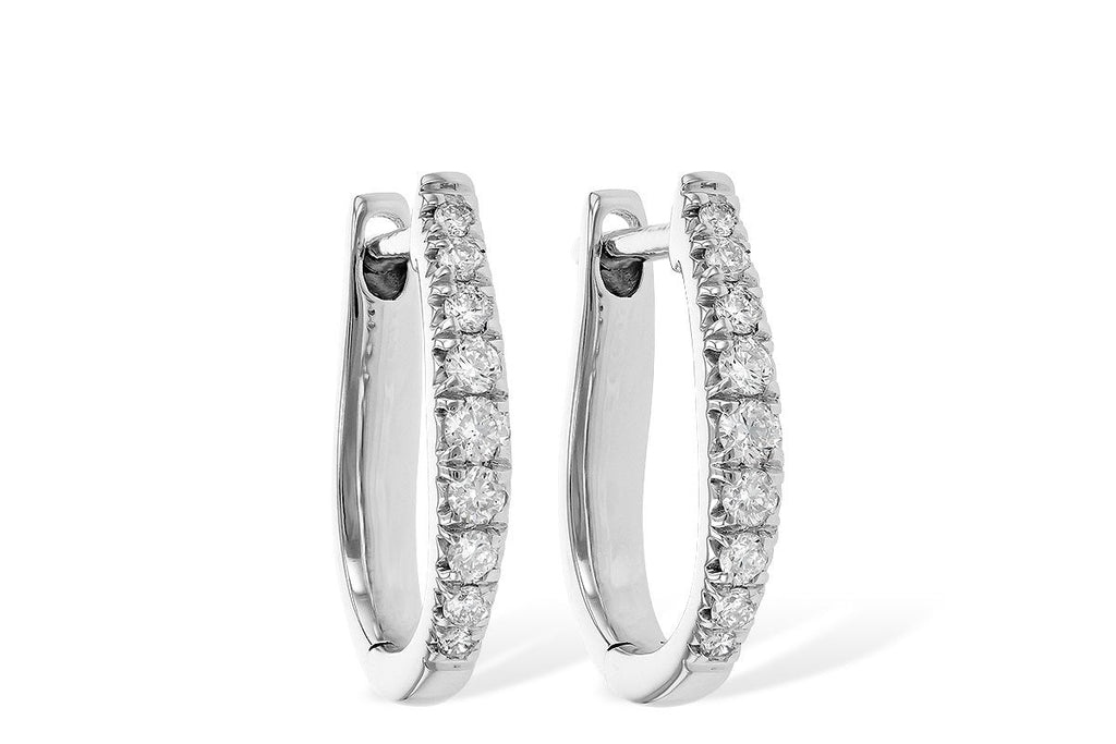earrings - f217-76246_w